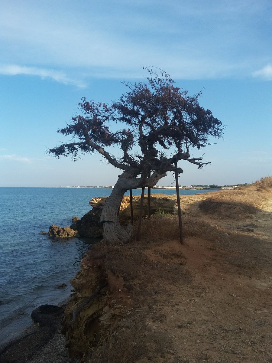 Vespa_GT68's tweet photo. 'La punta dl vento' posto magico del #salento ispirazione dell'omonimo libro di Massimo Chiriatti. #lecce #taranto https://t.co/cyXNmuknzx