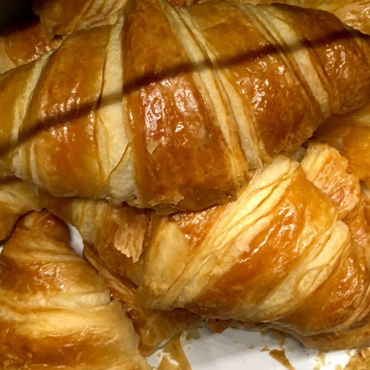 BostonCommon's tweet photo. #Sunday is perfect for #croissants #bostoncommoncoffee #shoplocal #fresh #baked https://t.co/WK6zlv2ryO