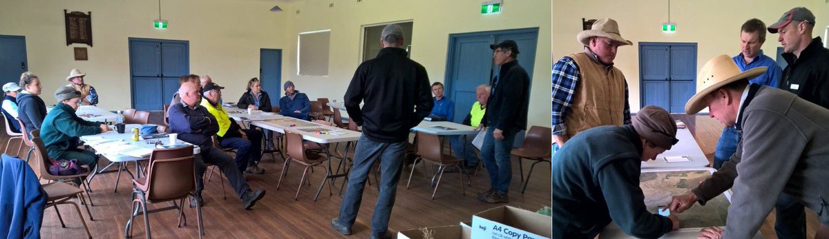 MLLSEnviro's tweet image. Discussing and mapping emerging #weed #wheelcactus at our recent info day in the #UpperMurray #landcare