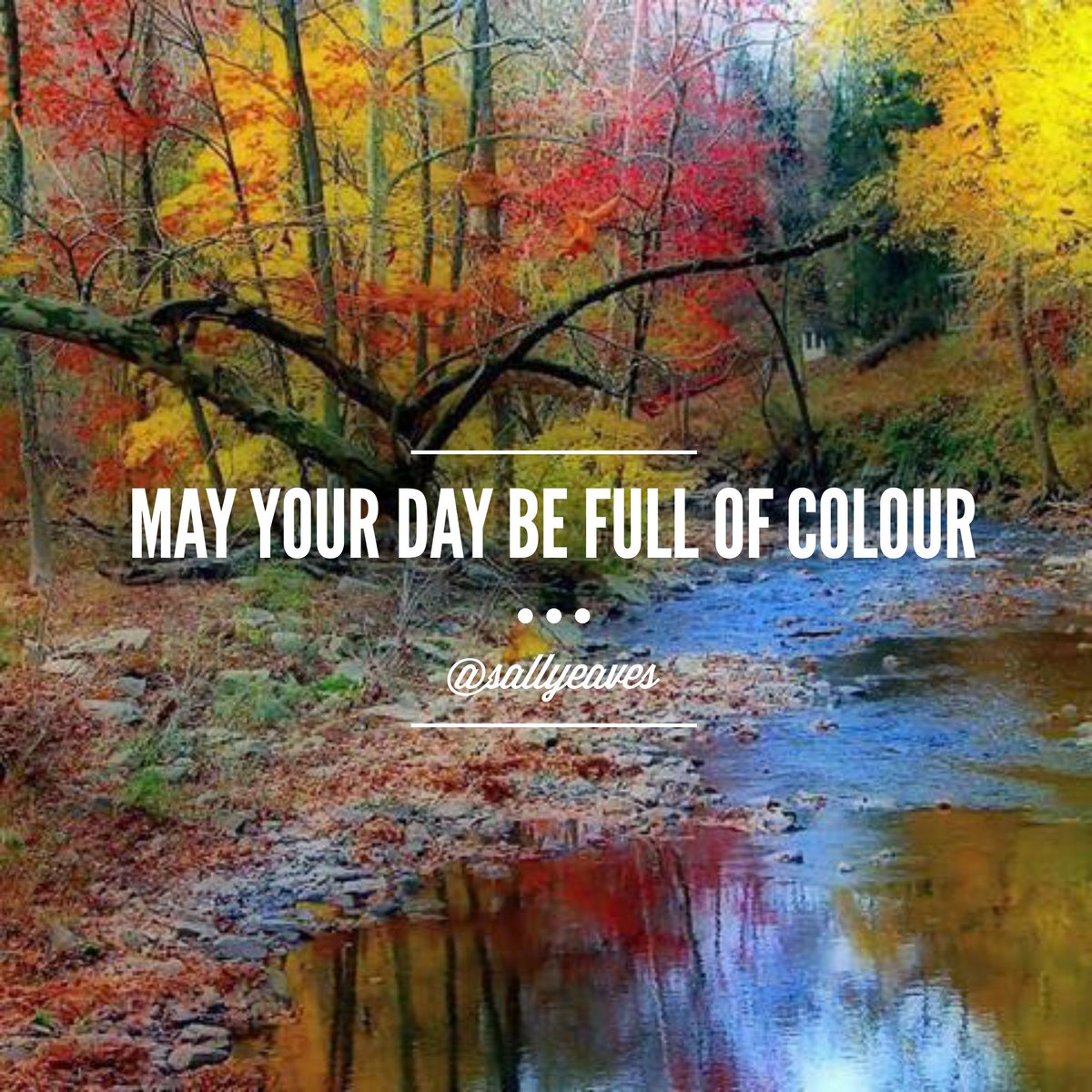 viewly_com's tweet image. Have a relaxing #SundayMorning everyone!