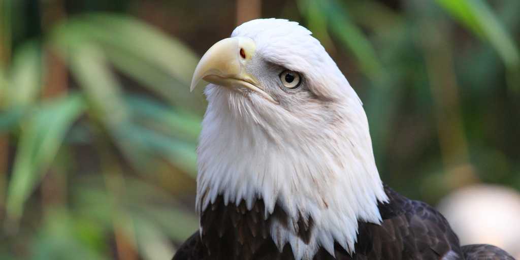 #Honor911 #NeverForget