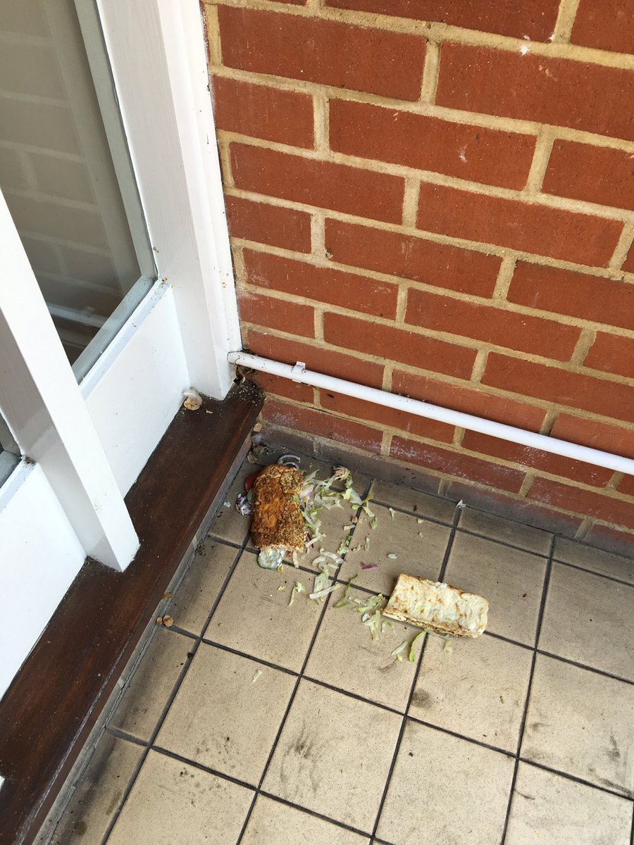 Fearniiee's tweet photo. Very sad face @SUBWAYUKIreland Wishing I'd been offered a bag now! Or at least had by subway wrapped properly!! 😫😫😫😫 https://t.co/tNtfJ39Zj8