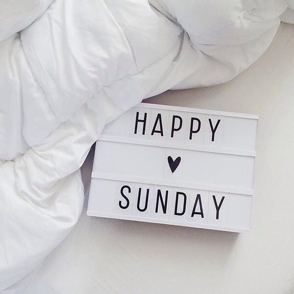 DavidsonMegs's tweet photo. A Sunday well spent catching up with my customers & business #happysunday #buildyourownsuccess #veraforeverMD https://t.co/qdTTkWqnCM
