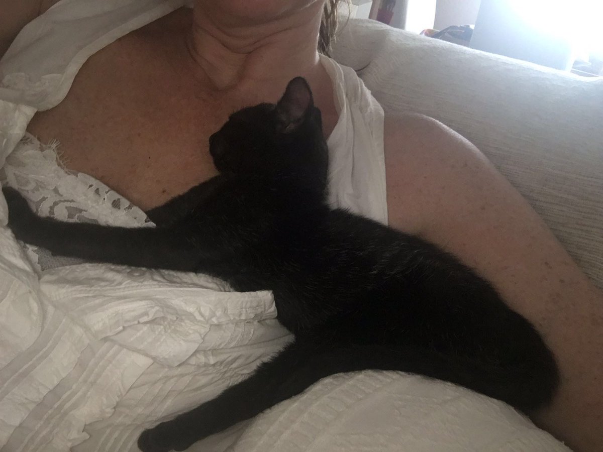 AspacCastellon's tweet photo. Matilda llegó desnutrida y resfriada. Ahora es feliz en su casa. Ayuda a muchos más: https://t.co/OtB52SlQhn https://t.co/kRaJvYRgtc
