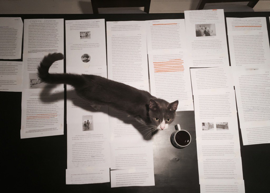 Armenoui's tweet photo. A cup of coffee, a cat, an a chapter in pieces #phdchat @PhDForum @ResearchUAL #ArchiveMist https://t.co/p18LYIAreL