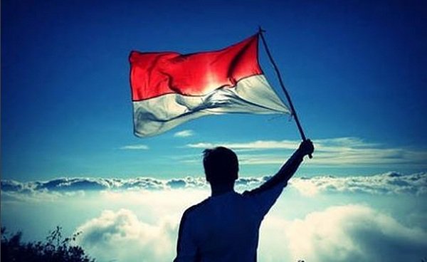 irvandkk's tweet photo. yang dicari tu yang kayak begini https://t.co/x891BMXRMb