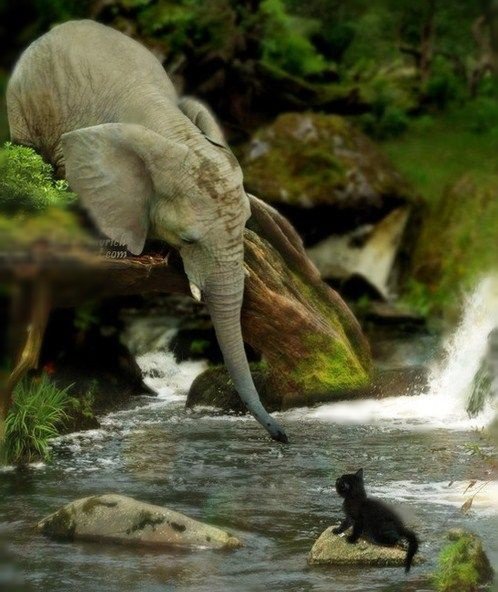 Akash ✨ tweet media