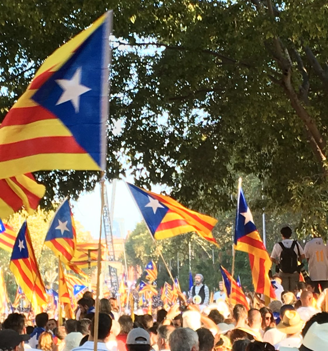 PackBonet's tweet photo. #apunt #tram41 @ajsantaeulalia https://t.co/Lhm8Iyuueu
