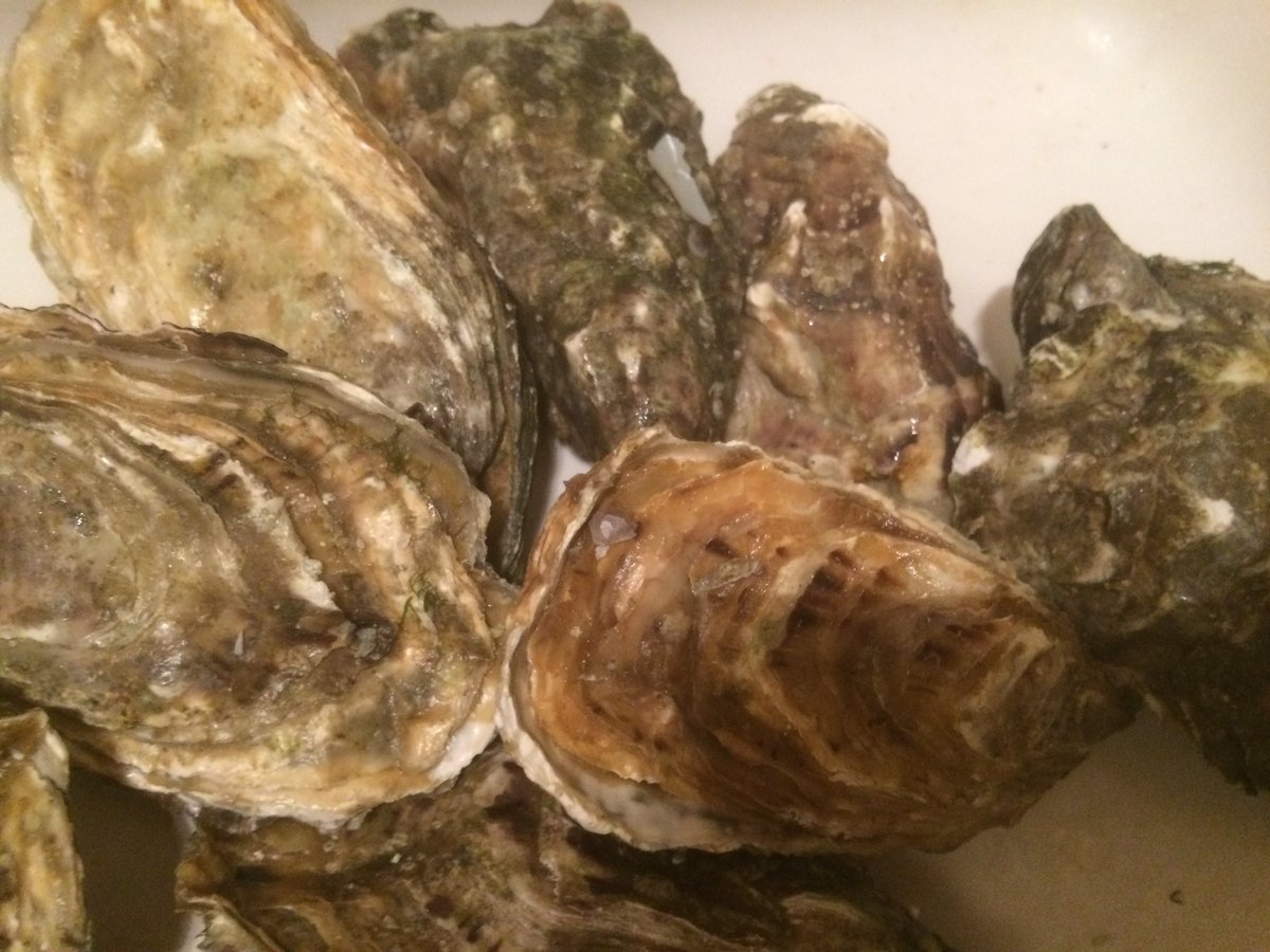 @winewankers @JMiquelWine perfect sunday #moreish sharp but elegant PoulignyMontrachet 2012 little oak & #oysters