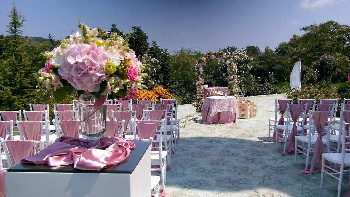 Bulgarian Charm tweet media