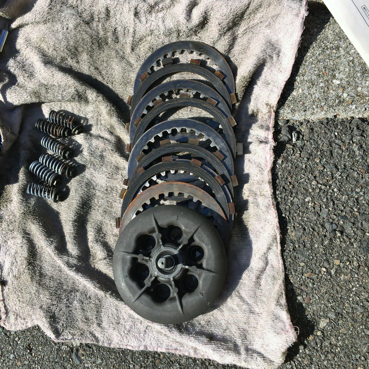 たど𝕏あい tweet media