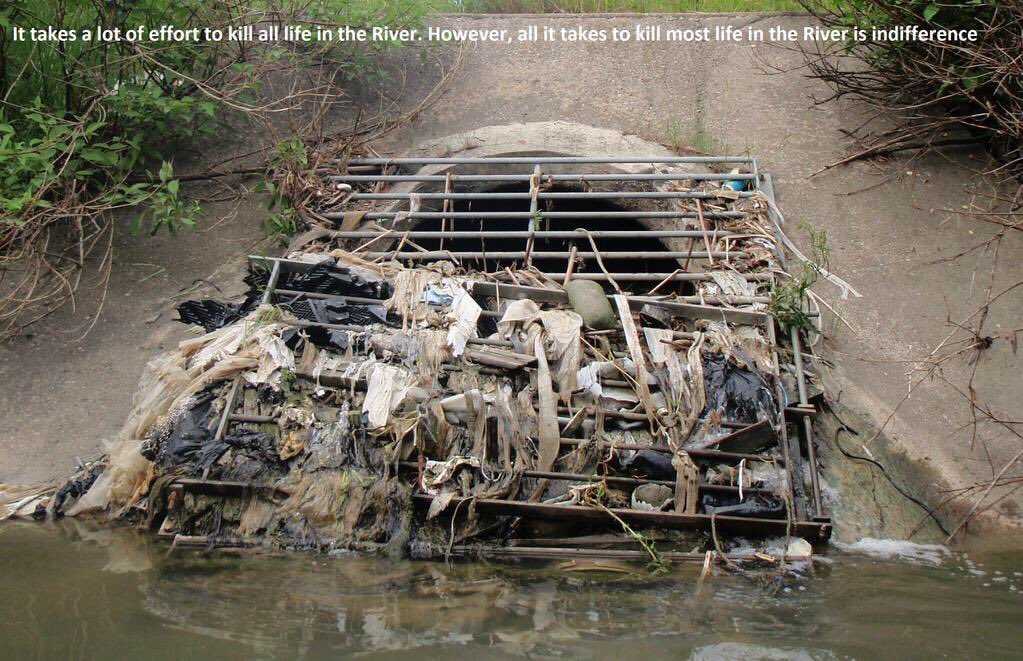 Rouge_Valley_CC's tweet photo. Don't forget plastic is not just an issue for the oceans but an issue here in rivers and streams, ultimately L Ont https://t.co/ADAgo8Mnu5