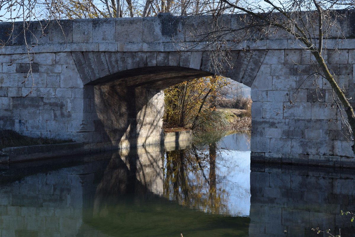 RutaVinoCigales's tweet photo. El Canal de Castilla a su paso por @cabezondepisu #patrimonio #enoturismo #conocelo @CyLesVida https://t.co/5vtUbZBzDU