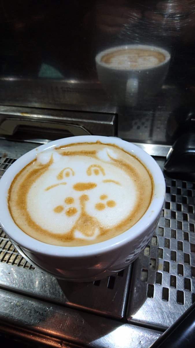 Diana Neacsu (@didineacsu) on Twitter photo 