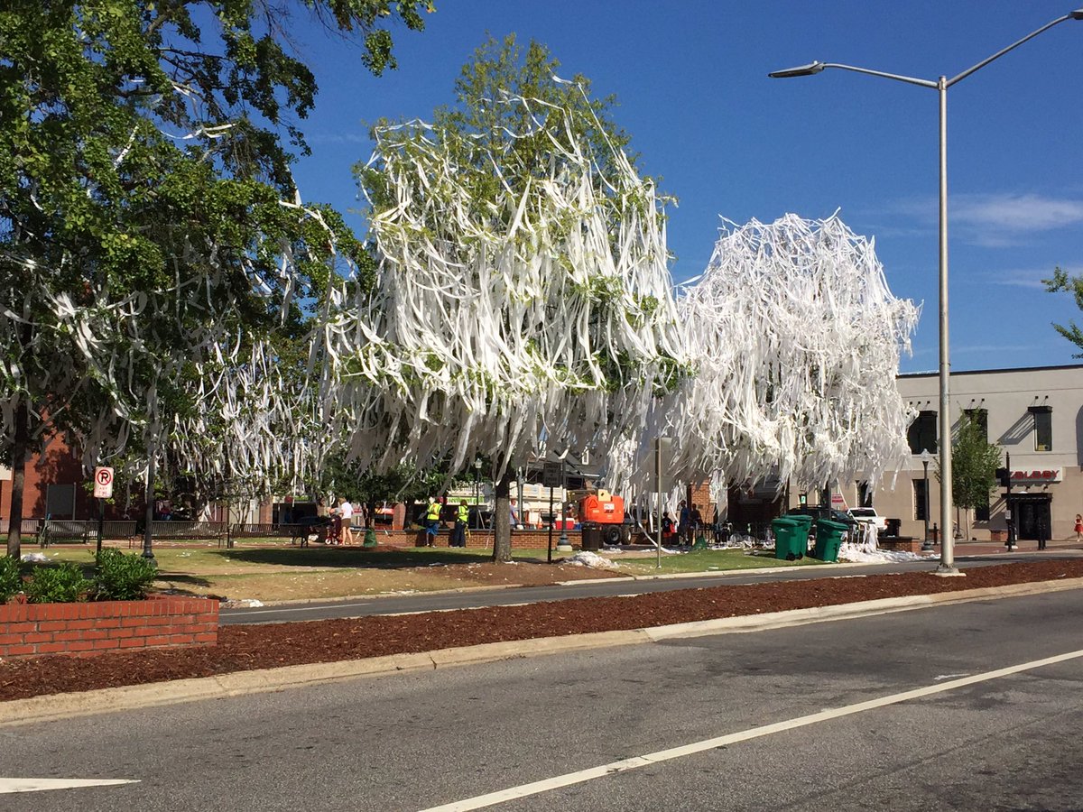 RosannaWsfa's tweet photo. That's a lot of toilet paper! #twotreesonetradition #WarEagle #AuburnFamily #AuburnFootball https://t.co/HKeoDa4HEP