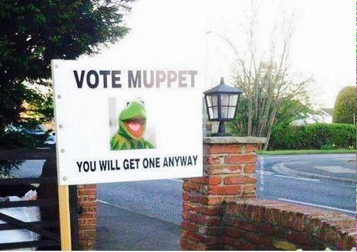 View image on Twitter