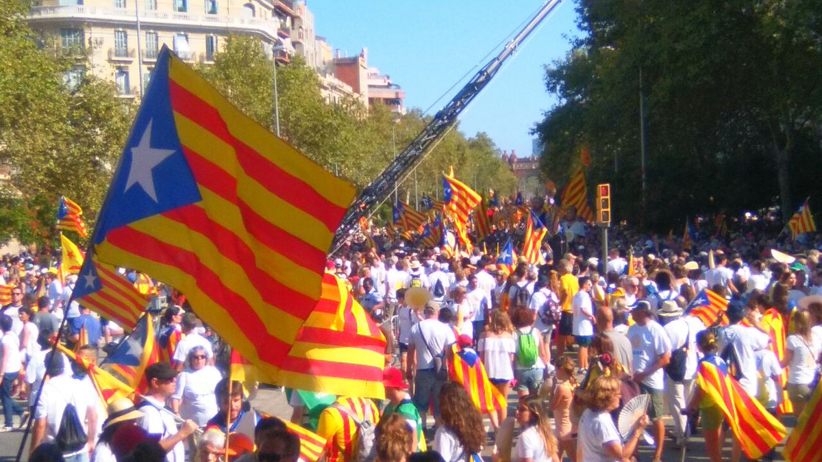 BCNxlaIND's tweet photo. Espectacular imatge del #Tram41 del #PuntBCN 
#EstàPassant a les 16.30 #Ho petarem
#EsteladaGo #Apunt11s @assemblea https://t.co/tuEXNAIxjL