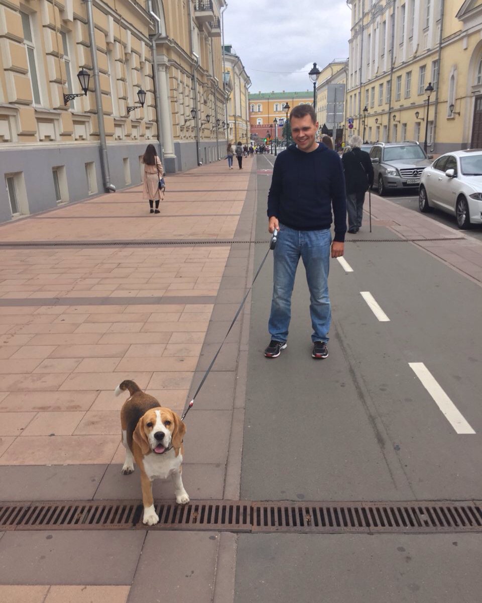 Сходили с Цезарем на благотворительную ярмарку #подберидруга #adoptapet
