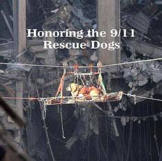 roswellpetsmart's tweet photo. We can't forget the search and rescue dogs that helped recover many survivors. Today we honor them too. Fur heroes. https://t.co/f3LrCeXYDj