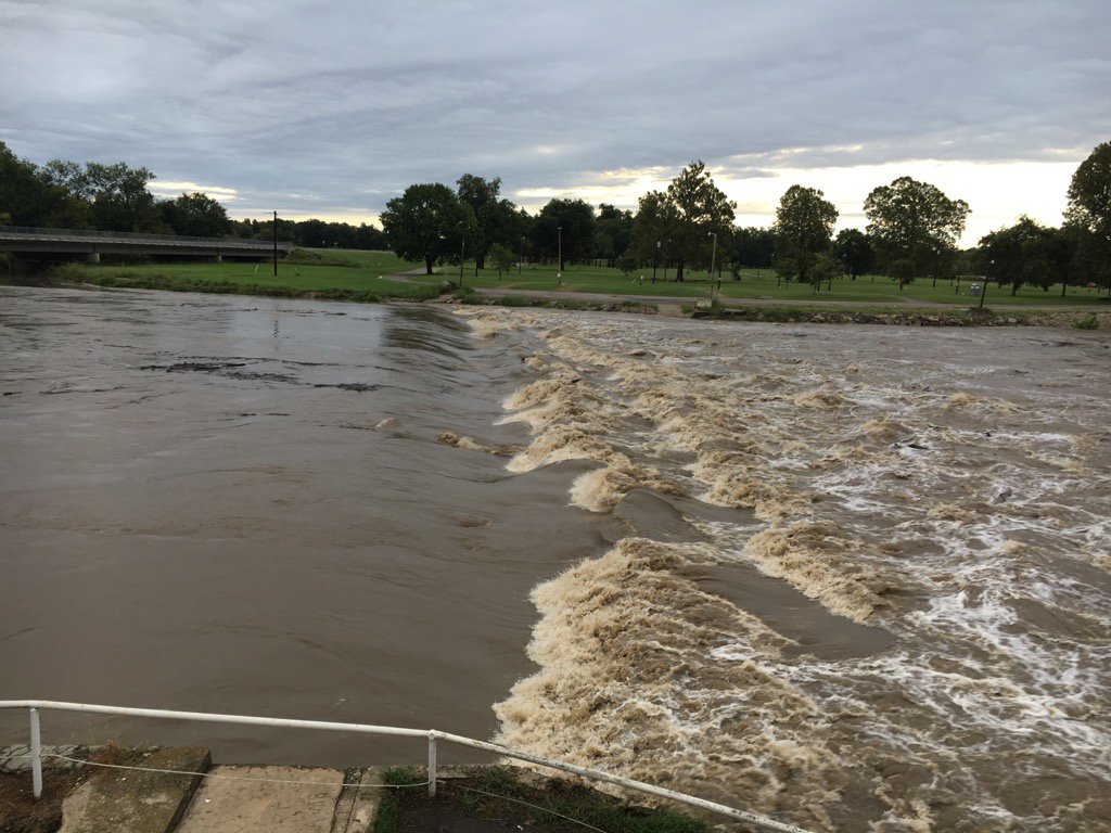 Roger Riddle tweet media