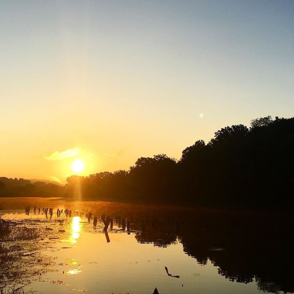 LauraGenutis's tweet photo. One of the perks of starting up my #running habit again is a reason to be up early enough … https://t.co/UYsmmc0ZEP https://t.co/EzxPk6xOBY