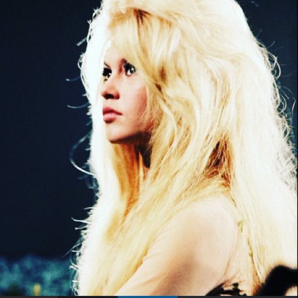 PetiteBrigitte_'s tweet photo. Lots of hair ~ https://t.co/HNmkCwGxCk