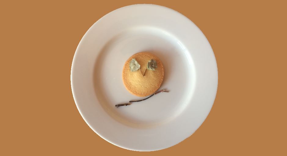 mjamjams's tweet photo. Teestunde international auf unserem #Foodblog. In der Hauptrolle: #Diptam-Dost https://t.co/43hERH53R7 https://t.co/vr0vPAqwj9