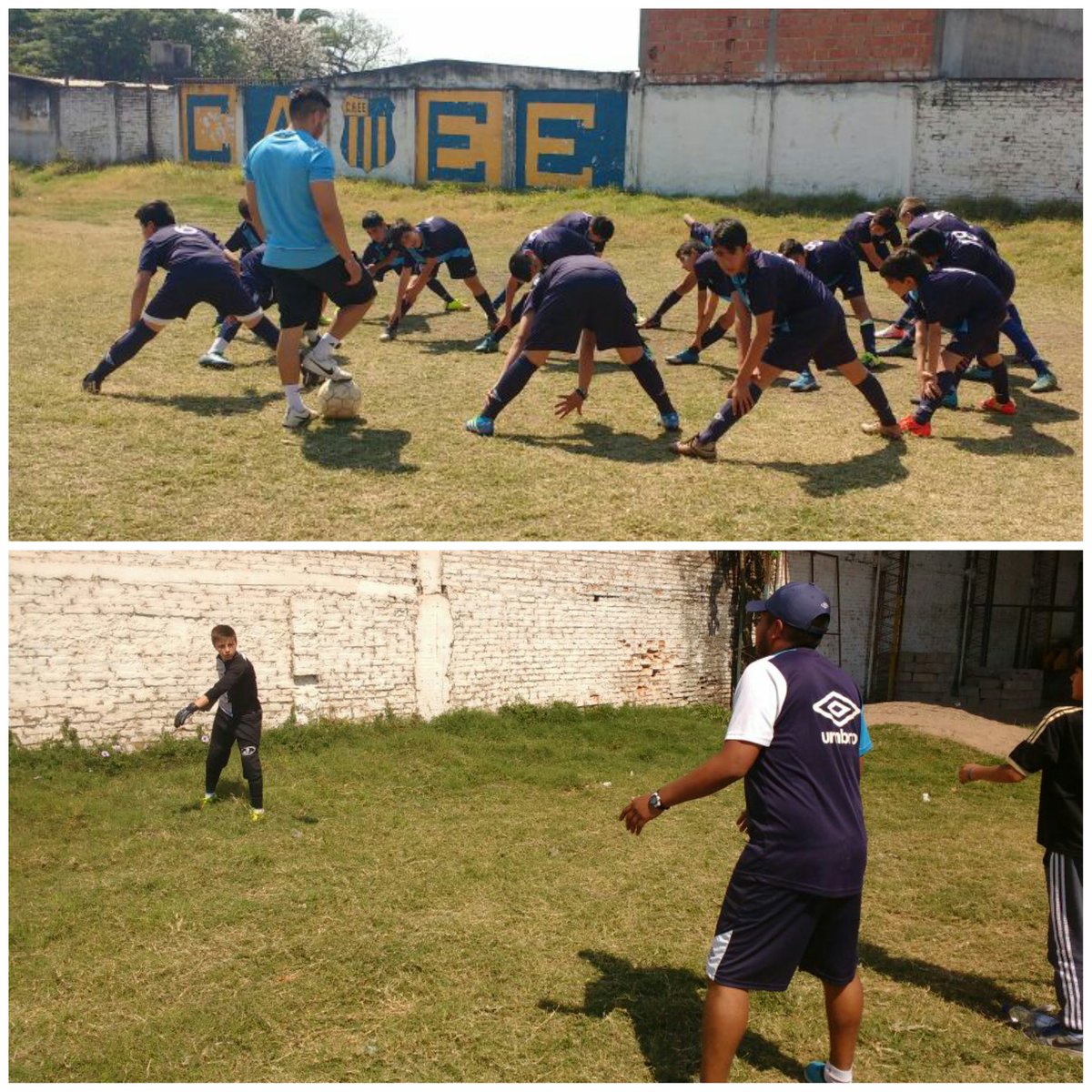 SoyDecanoOf's tweet photo. #Infantiles #CopaDeOro #Cat04 [8vos] El Decano realiza la entrada en calor, en minutos enfrenta a #Amalia https://t.co/vx2IQWr1IS