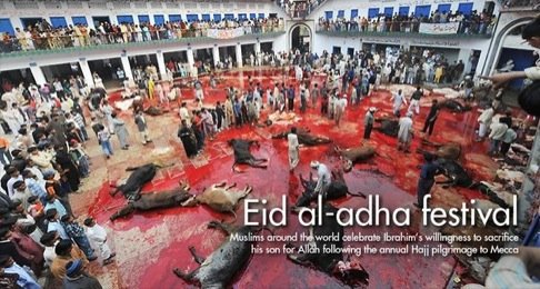 nfor_nabeel's tweet photo. Jhot Bolty, Na Namaz, Rozay B Chorty...But..
At Eid-ul-Azha Passionated about Sacrfice.
Is For Good Deeds or To Eat? https://t.co/DsvR8scNTa