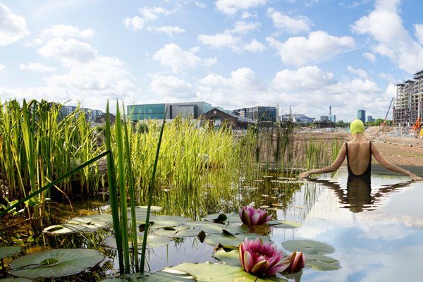 #savekxpond a project to more fully know ourselves part of a complex, interdependent world: chn.ge/2c35XuP