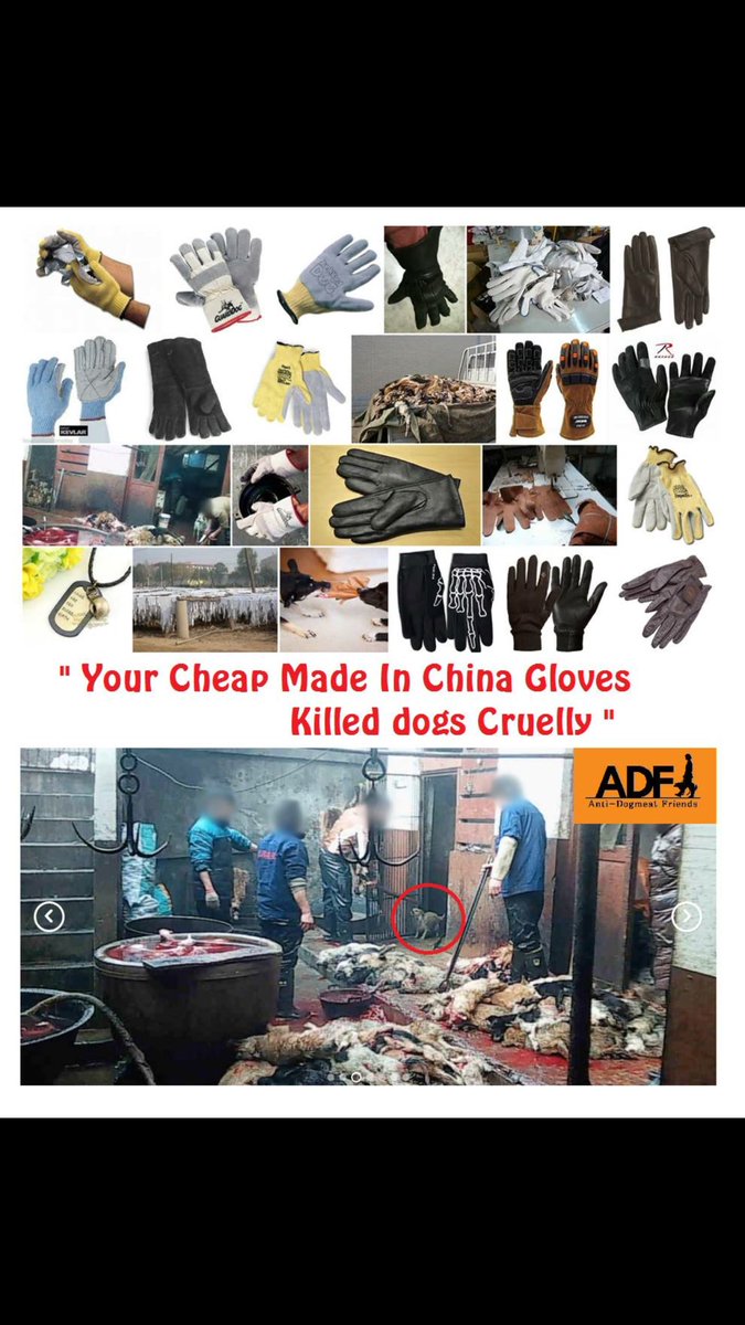 OliveFaith2's tweet photo. @china @RileyChi2 @evaugier @LisaVanderpump @AHWFoundation @KenToddBH @MajorRobbie https://t.co/xiWwEHlNHQ