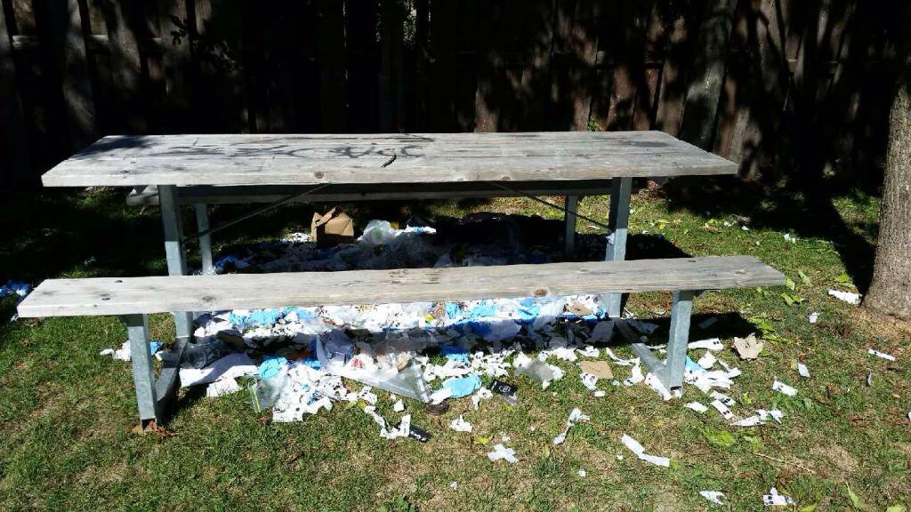 AdamShea2's tweet image. More Medical waste found at HAA grounds this morning! @aidan_johnson @cityofhamilton @TheSpec @HamiltonPolice