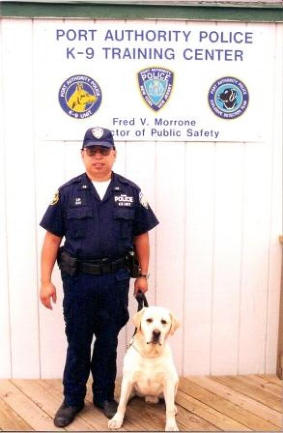 PetHomeMagazine's tweet photo. WE WILL NEVER FORGET! Today we honor all the precious lives lost on 9/11, including K-9 Sirius. 💔 #September11th https://t.co/nRnxltVJZn