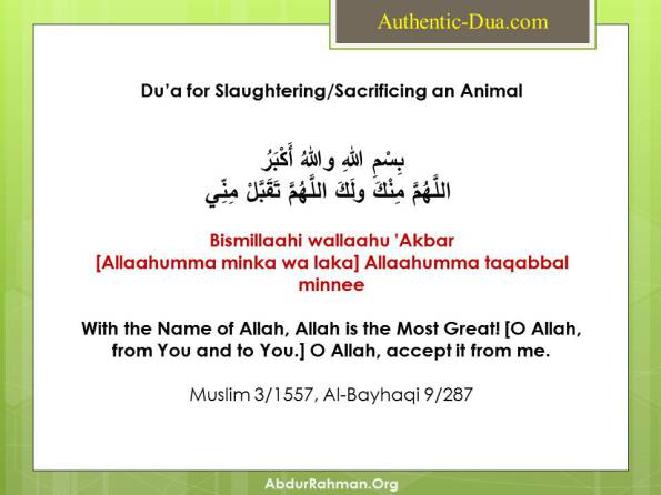 AbdurRahmanOrg's tweet photo. Du’a for Slaughtering/Sacrificing an Animal https://t.co/ztHTdIcVln via @AbdurRahmanOrg https://t.co/x6UlWoClJU