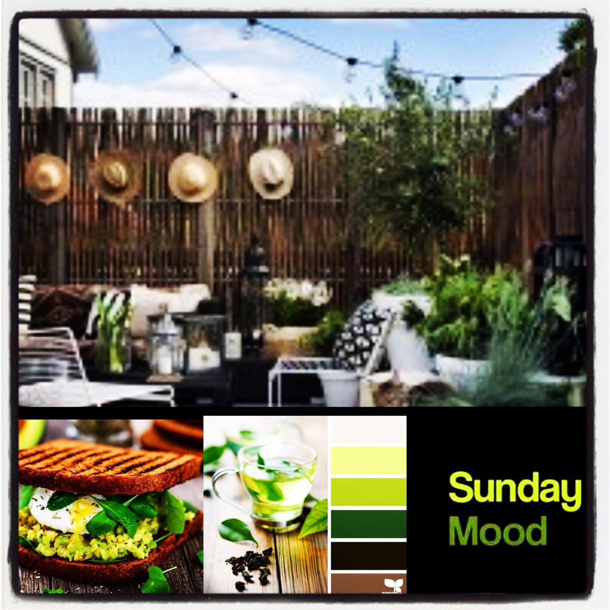 progarchdesign's tweet image. Sunday mood #lovedesign #designstorytelling #green #relax via knowfengshui.com desainer.it