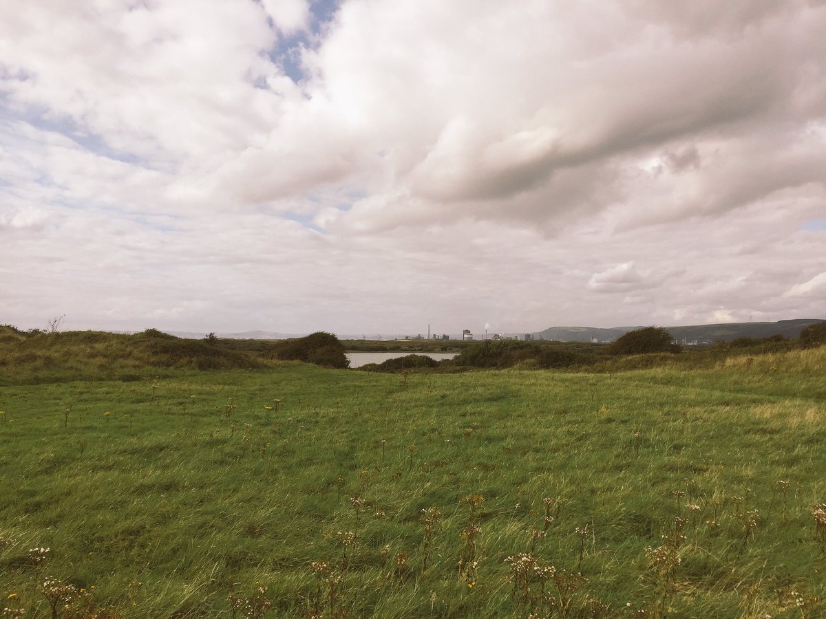 JordanCuff's tweet image. Nice afternoon setting pitfall traps at Kenfig Nature Reserve for undergrad #ResearchTechniques Carabid ID!