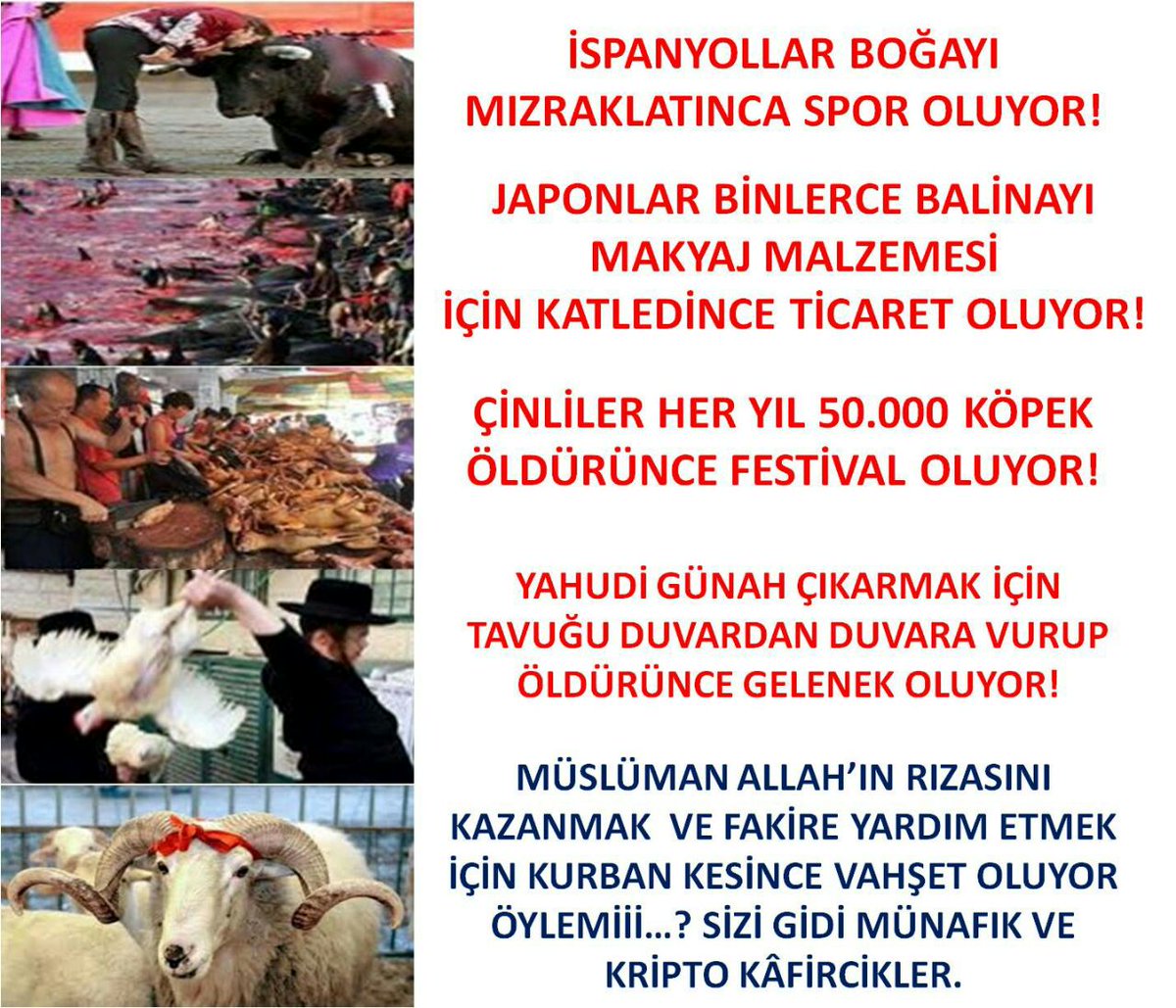 Gven128's tweet photo. Biz dinimizin emrettiğini yaparız sizi dar kafalılar bu böyle biline #KurbanEziyettir https://t.co/G120DKzUKp