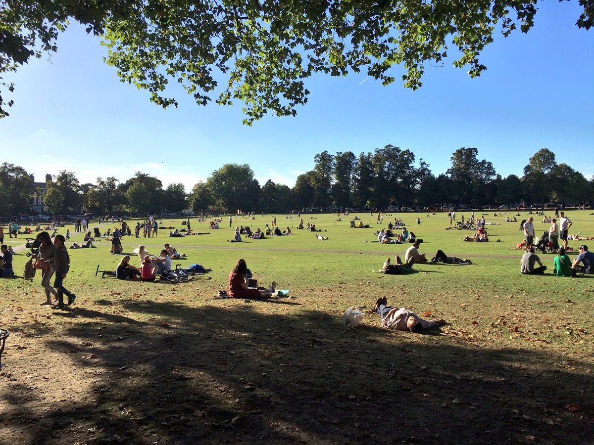 Lydia Cardona-Daniels tweet media