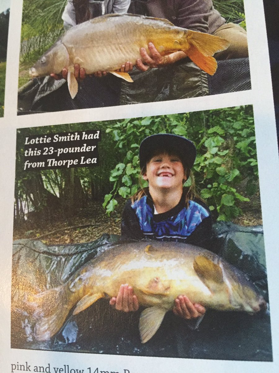 thorpeleafishery tweet media