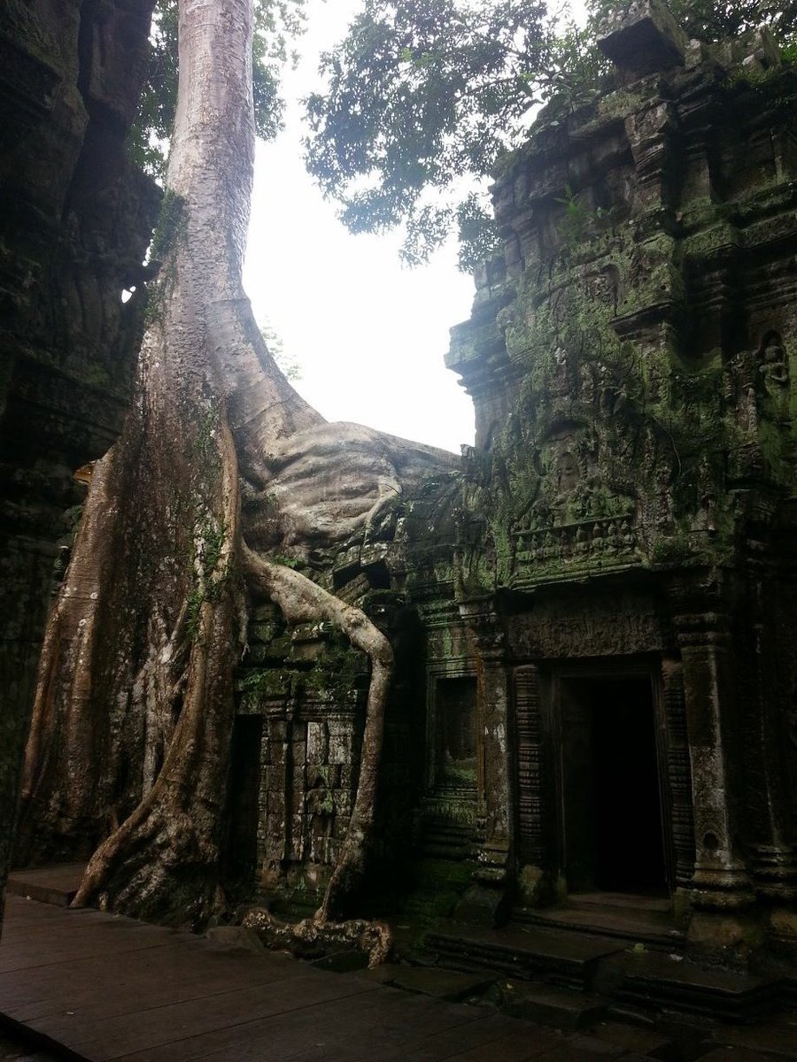 RotanaMr's tweet photo. visit to Cambodia , https://t.co/3hfbPTNTH2