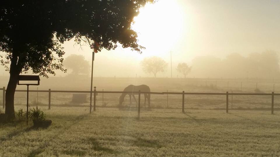 BBessent's tweet photo. My friend's beautiful morning shot at her farm. ❤️ https://t.co/qjuwyRssOJ