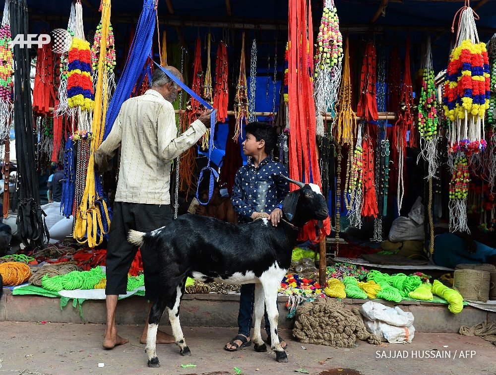 An Indian Muslim child purchase decoration items for his goat after it was purchased from at a livestock market