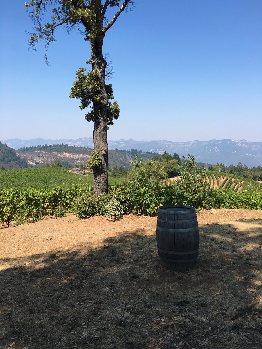 SpMontenegro's tweet photo. Tomando muy buenos vinos !! https://t.co/8gizQNzmFt