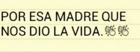 nayelii_torrez's tweet photo. 11:11😻👭👑 https://t.co/lPwgdI6Ghe