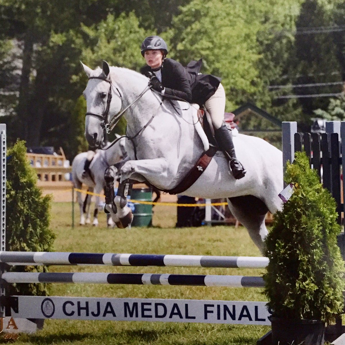 slcain's tweet photo. So lucky to have this horse❤️ Marshall &amp; Sterling finals here we come!! https://t.co/wAhm5Y3KKd