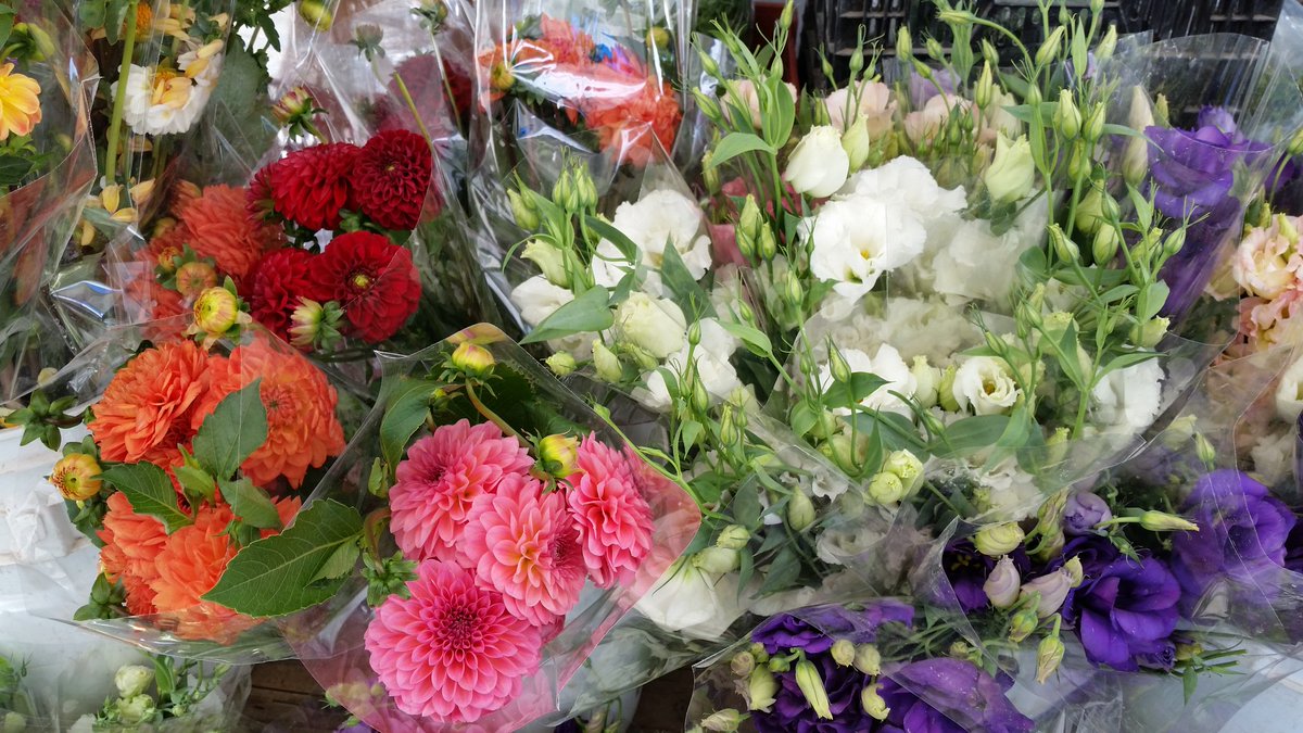 PacificPaliFM's tweet photo. Beautiful flowers on a beautiful sunday morning. At Pali High from 8-1pm. https://t.co/FuHIdzIAFc