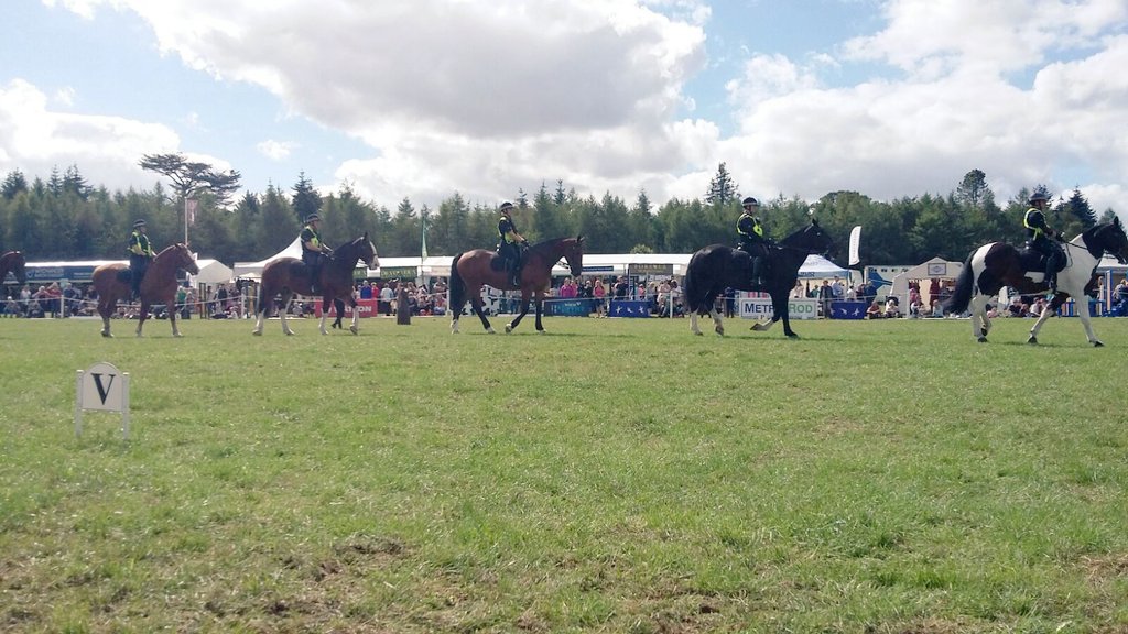 TVP_horses's tweet photo. Excellent visit to @BlenheimHorse trials. Great crowd,very appreciative. #lotsofselfies @BritishHorse
PS3481 https://t.co/i9aZ3JbtGS