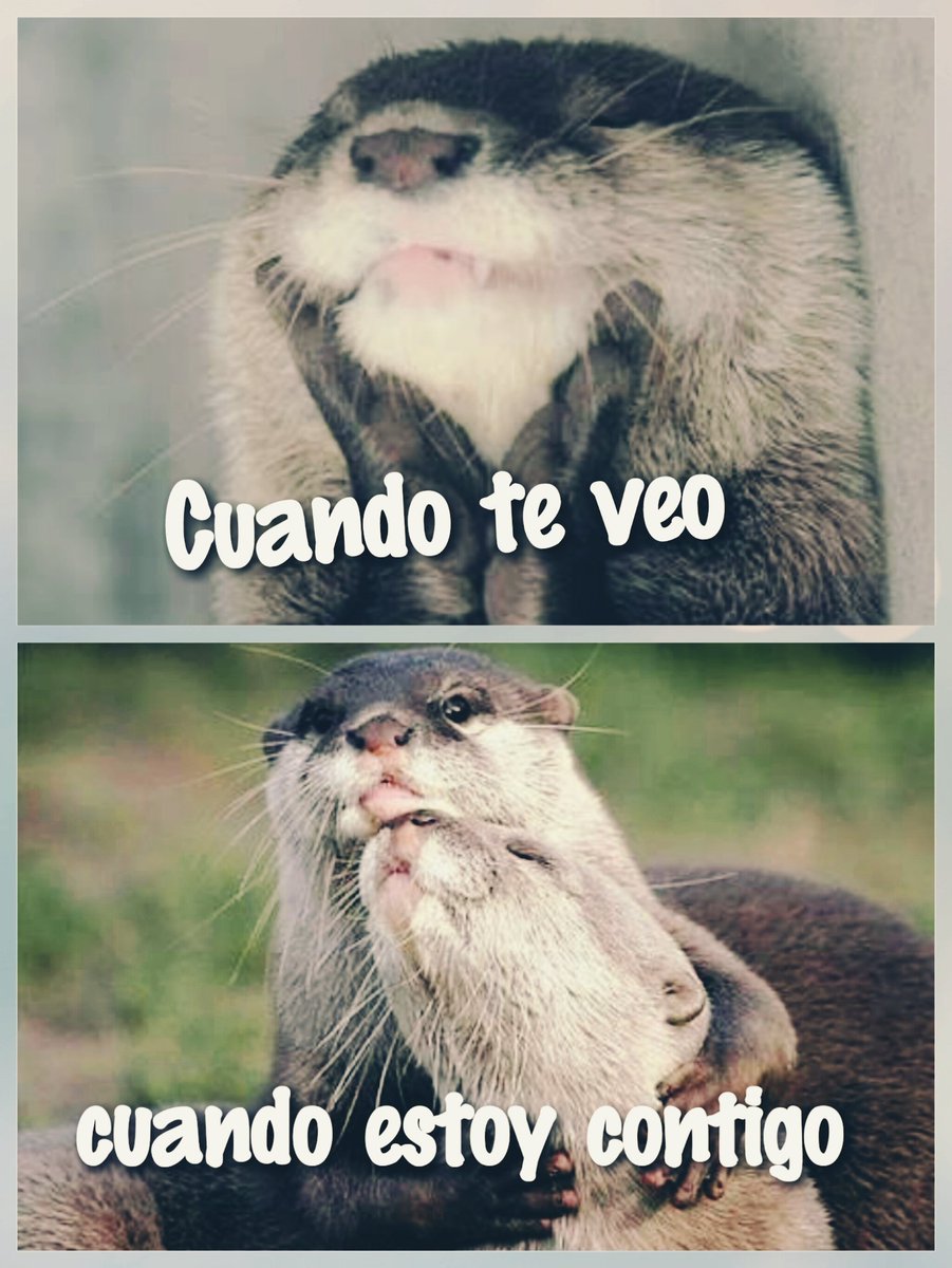 insustegui's tweet photo. Y así siempre ... 👫 #PostDataTeAmo https://t.co/Ftc4k5K8PY