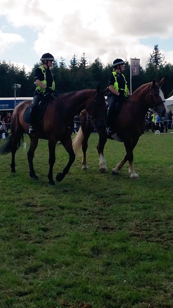 TVP_horses's tweet photo. Excellent visit to @BlenheimHorse trials. Great crowd,very appreciative. #lotsofselfies @BritishHorse
PS3481 https://t.co/i9aZ3JbtGS