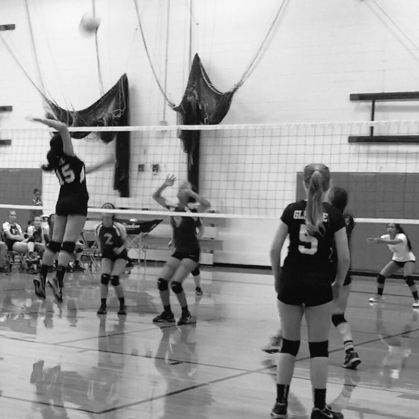 _VegaSheila's tweet image. Proud HSD Volleyball Mom. Most improved player. She has skills #GoTide #shecanjump #tournament #HSD